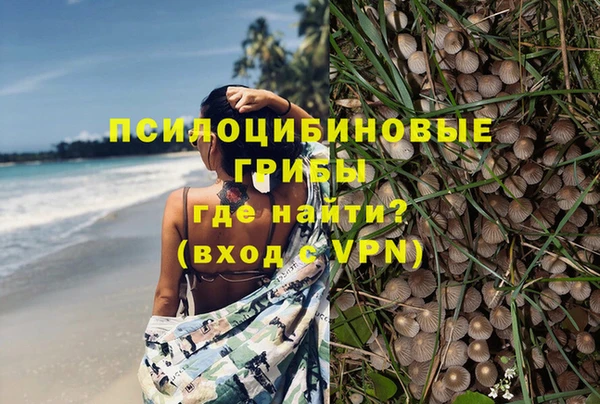 дмт Алзамай