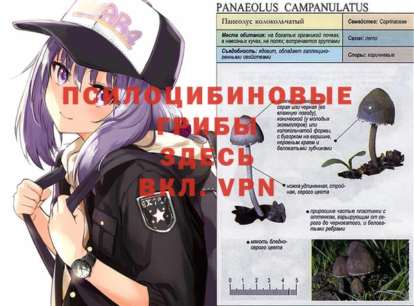 каннабис Пестово