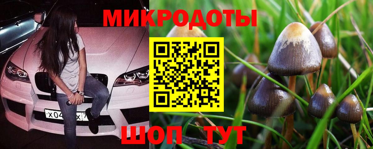 Галлюциногенные грибы мицелий  Галлюциногенные грибы GOLDEN TEACHER  Вход с VPN  Кумертау 